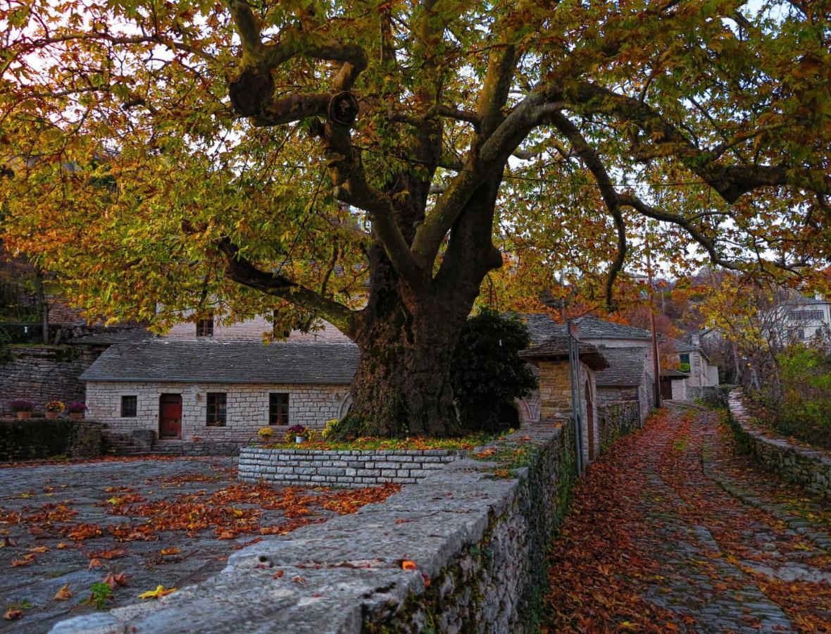 Archontiko Evridikis Vitsa Exterior foto
