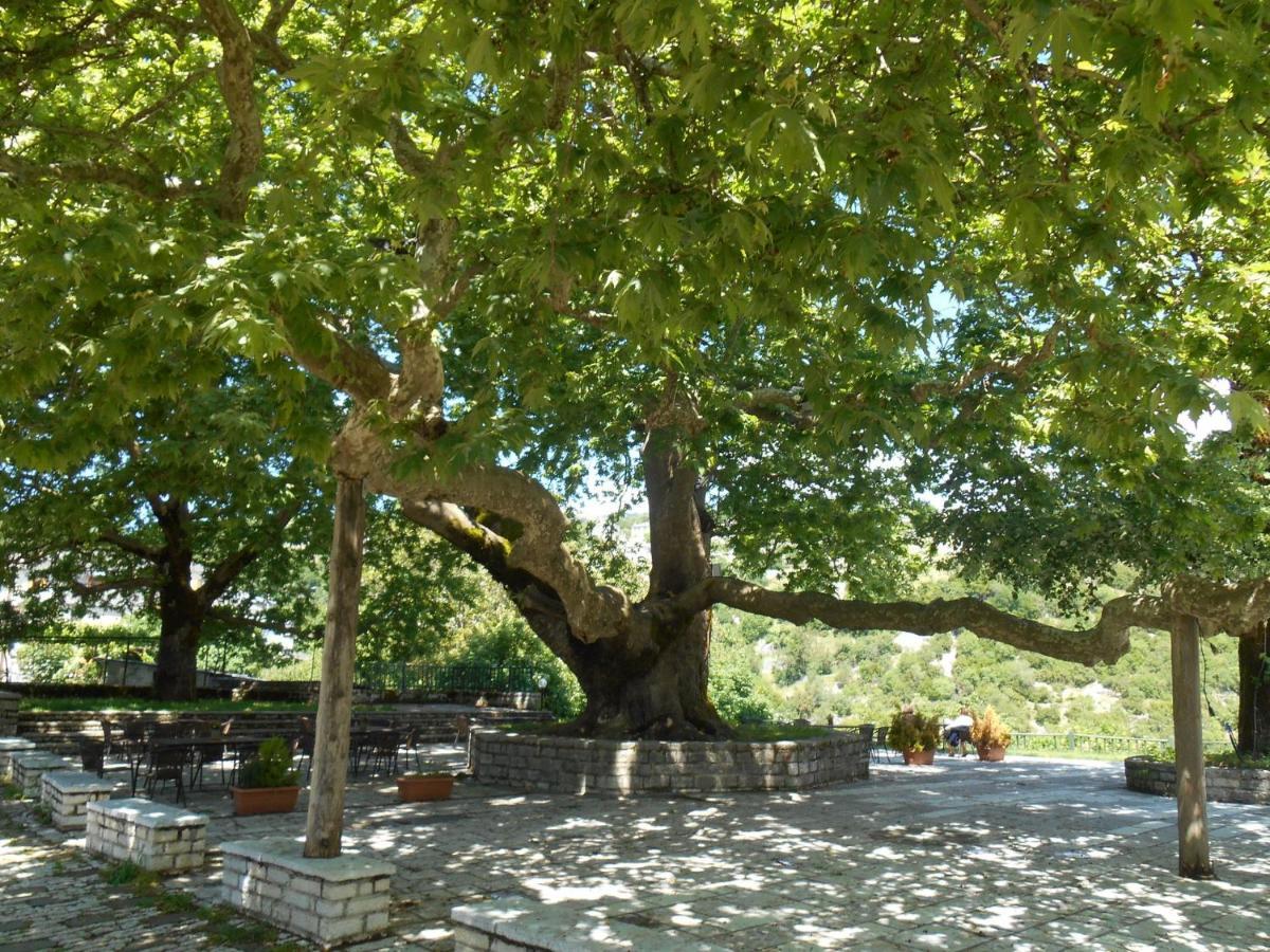 Archontiko Evridikis Vitsa Exterior foto